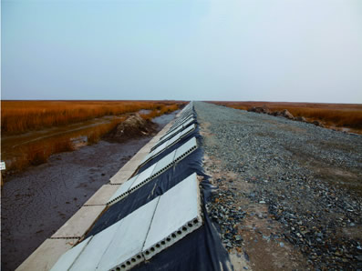 崇明(míng)互花(huā)米草(cǎo)生(shēng)态控制(zhì)工(gōng)程