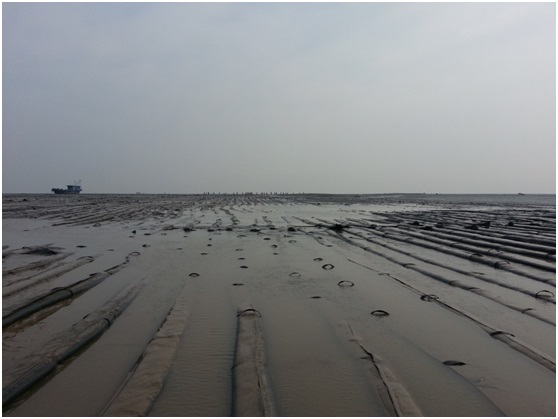 通(tōng)州灣項目如(rú)期複工(gōng)，現(xiàn)場(chǎng)士氣高(gāo)昂