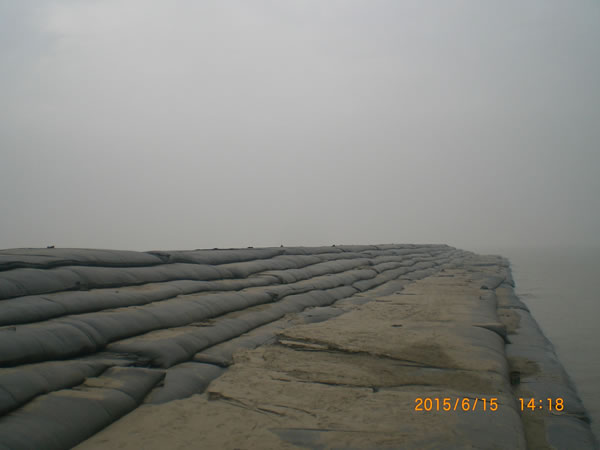 共同進步，共同成長(cháng)