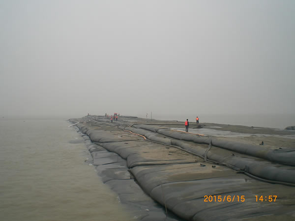 共同進步，共同成長(cháng)